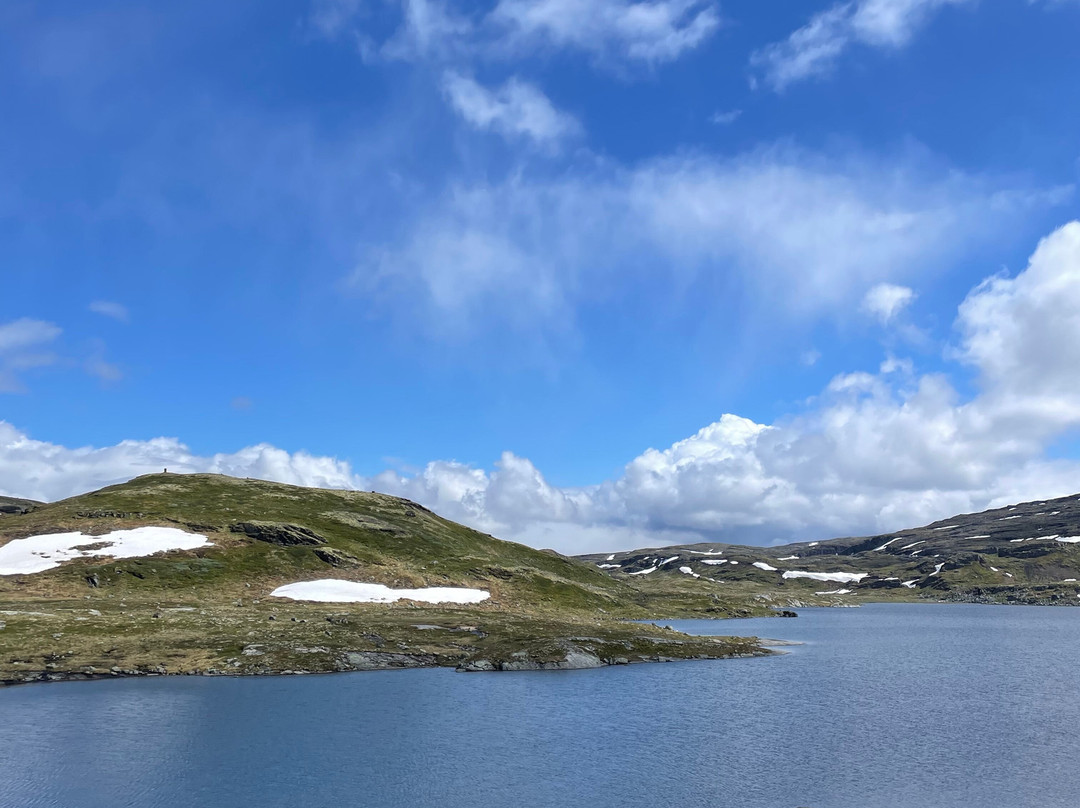 Hardangervidda Nasjonalpar景点图片