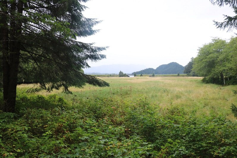 Starrigavan Recreation Area-锡特卡必去景点