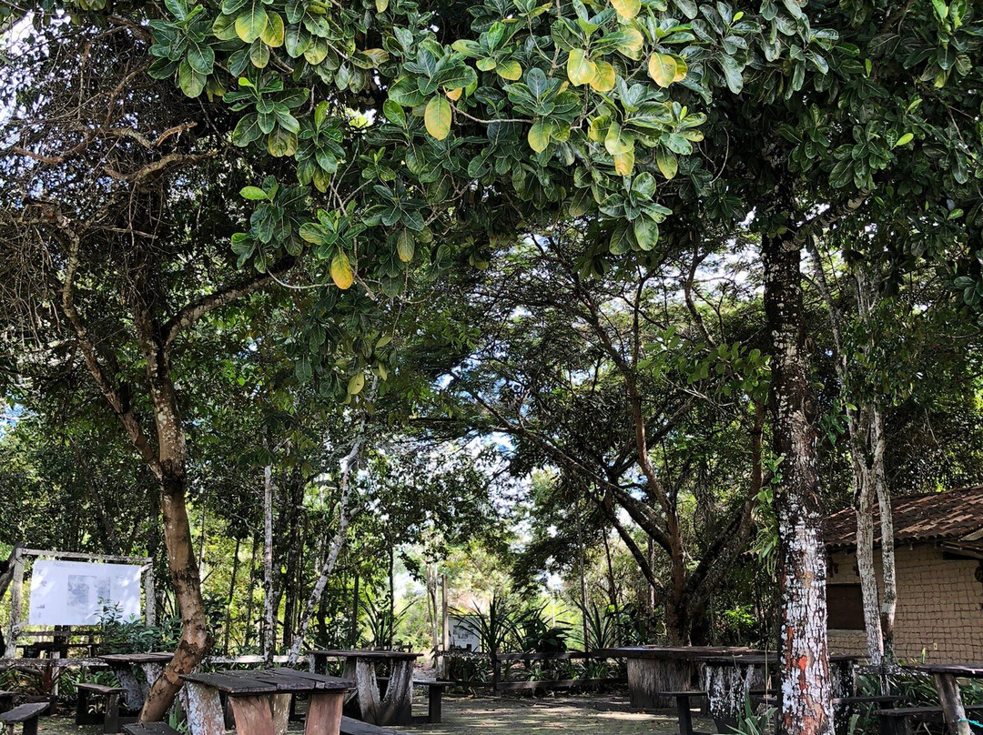 Parque Nacional do Pau Brasil-Porto Seguro必去景点