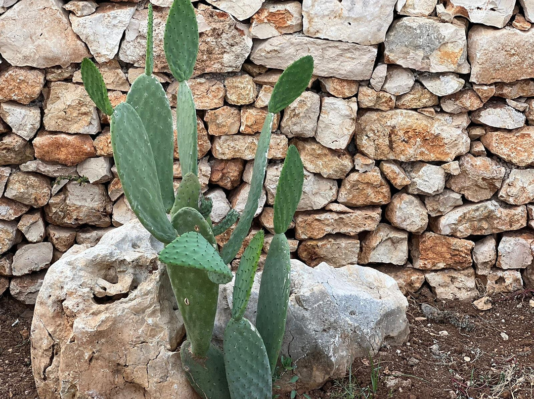 Dimora Caraspi