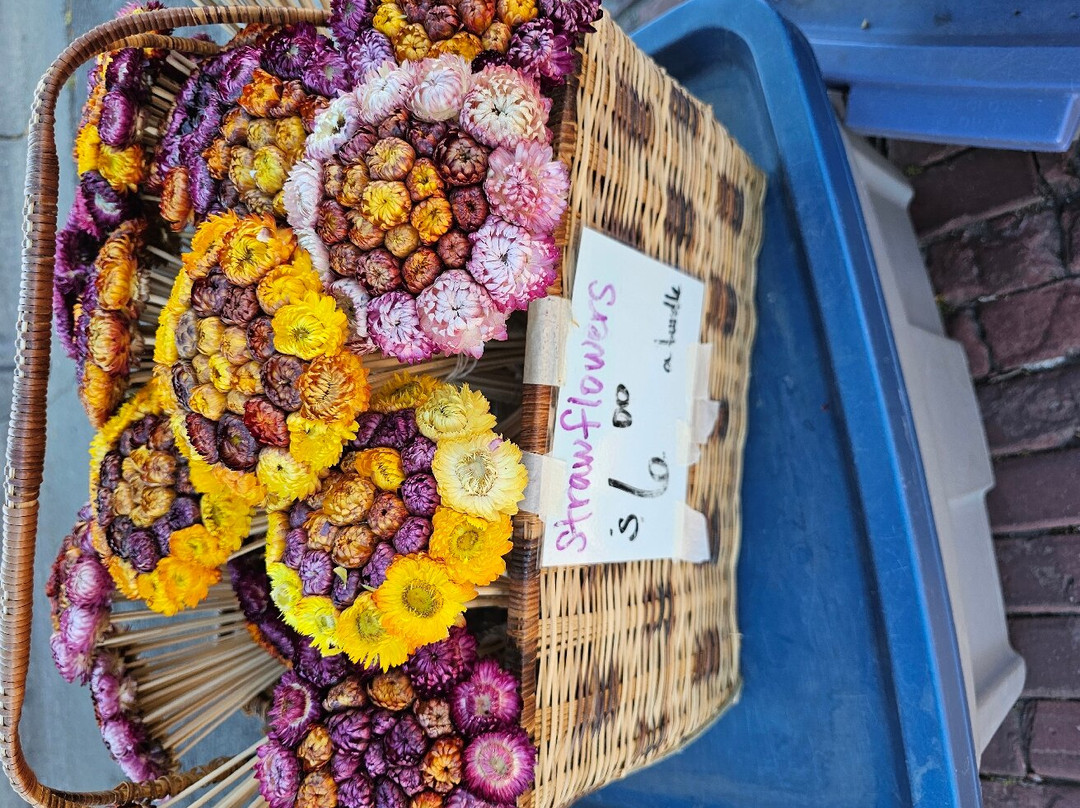 Missoula Farmer's Market-米苏拉必去景点