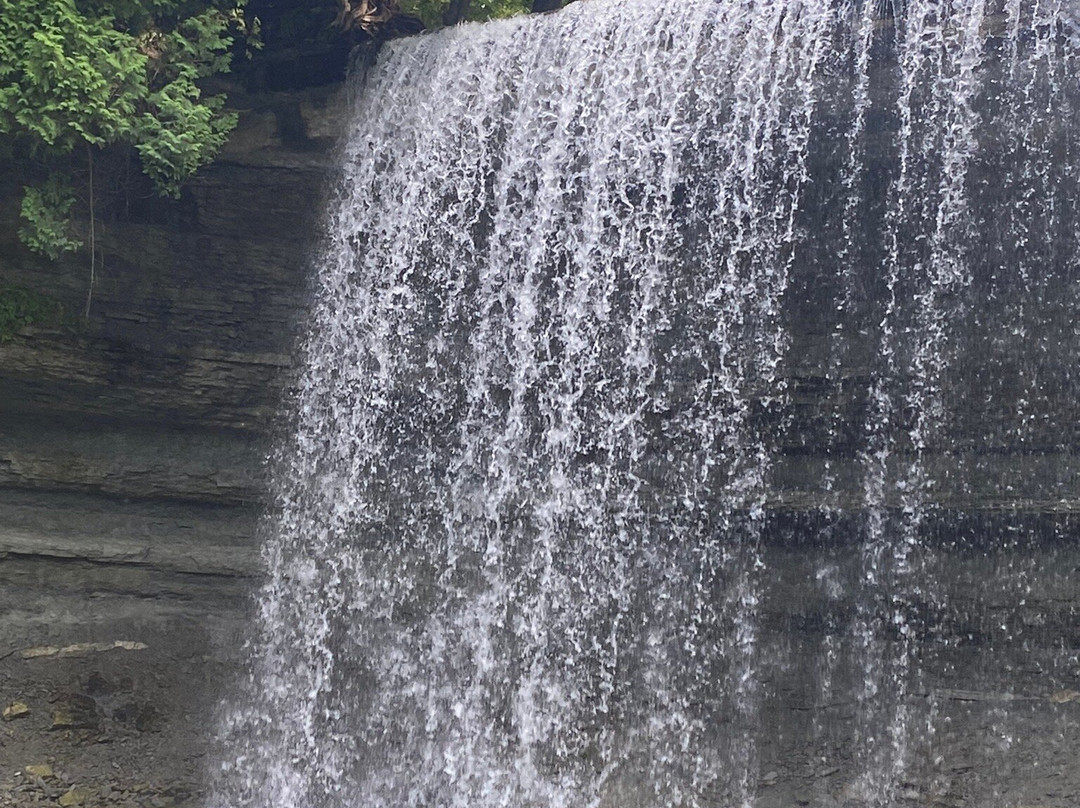 Bridal Veil Falls景点图片
