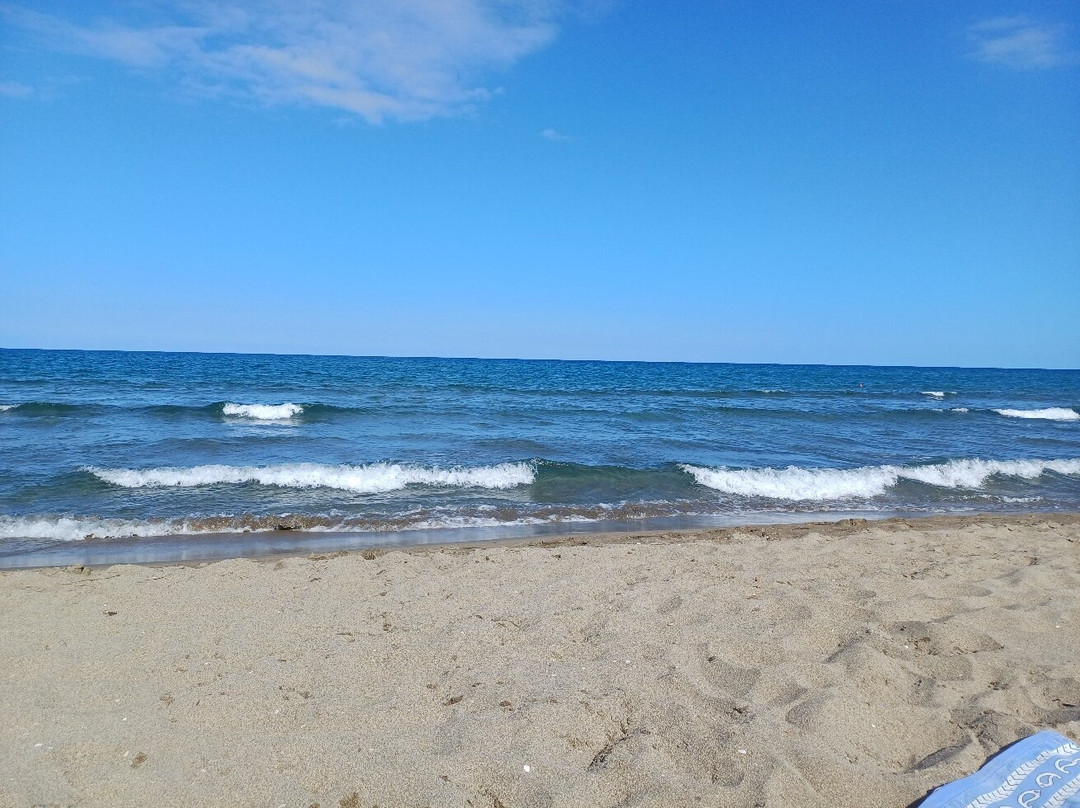 Hotel Il Falconiere主图