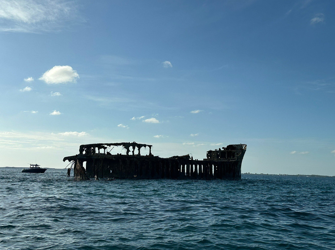 Bimini Cove Resort & Marina主图