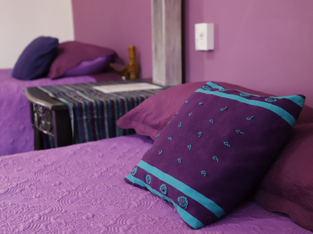 Salvere Casa Naturista-El Grullo必去景点