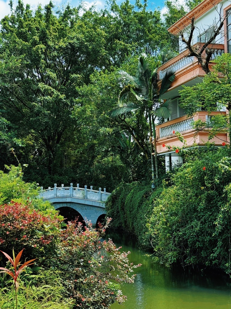 龙山温泉酒店-官方