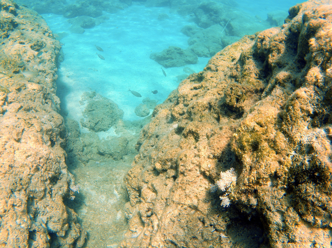 H2O Diving Center-Ladiko必去景点
