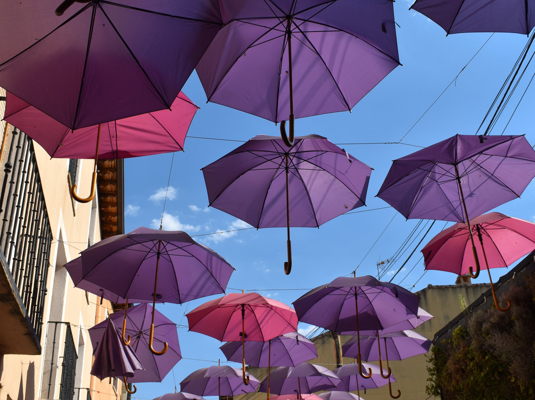 Campos De Lavanda-Brihuega必去景点