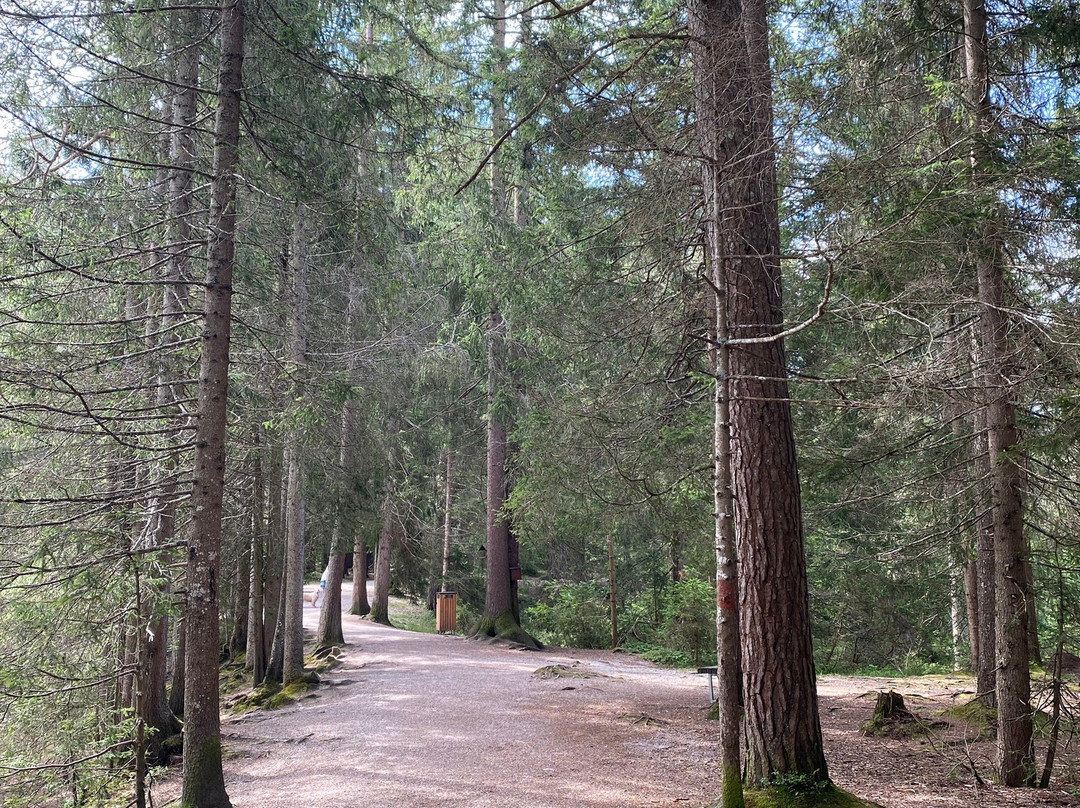 Wildsee-湖地必去景点