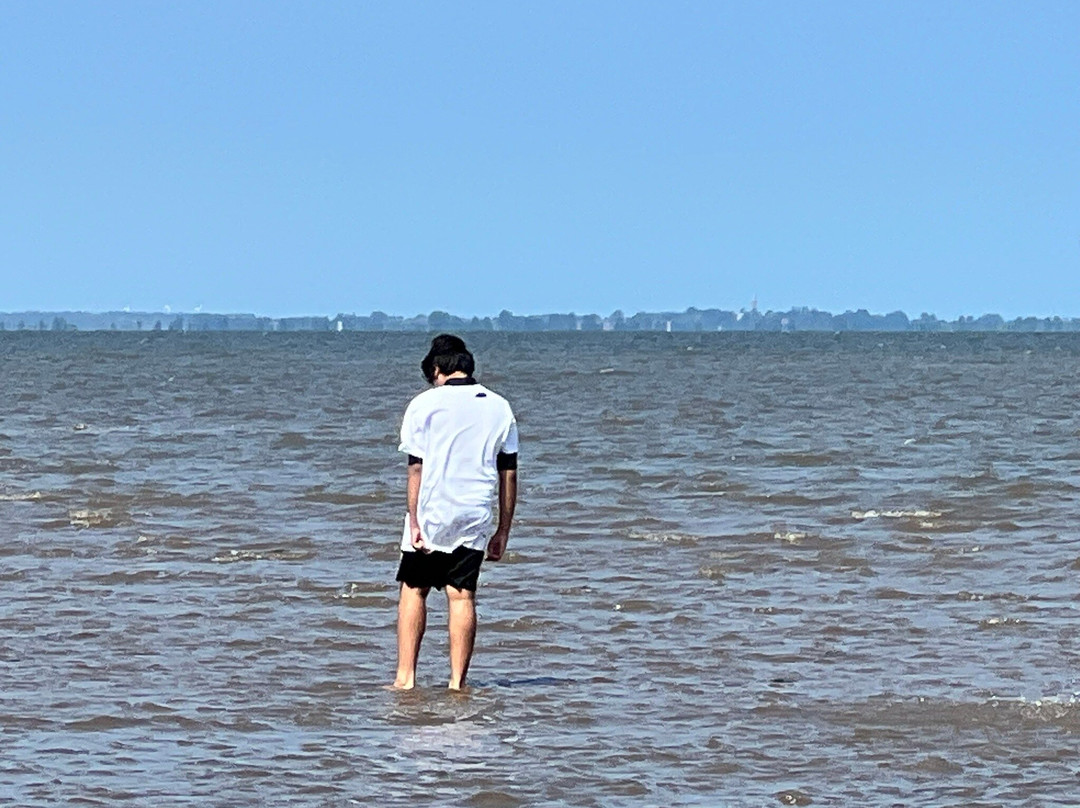 Cleethorpes Beach景点图片