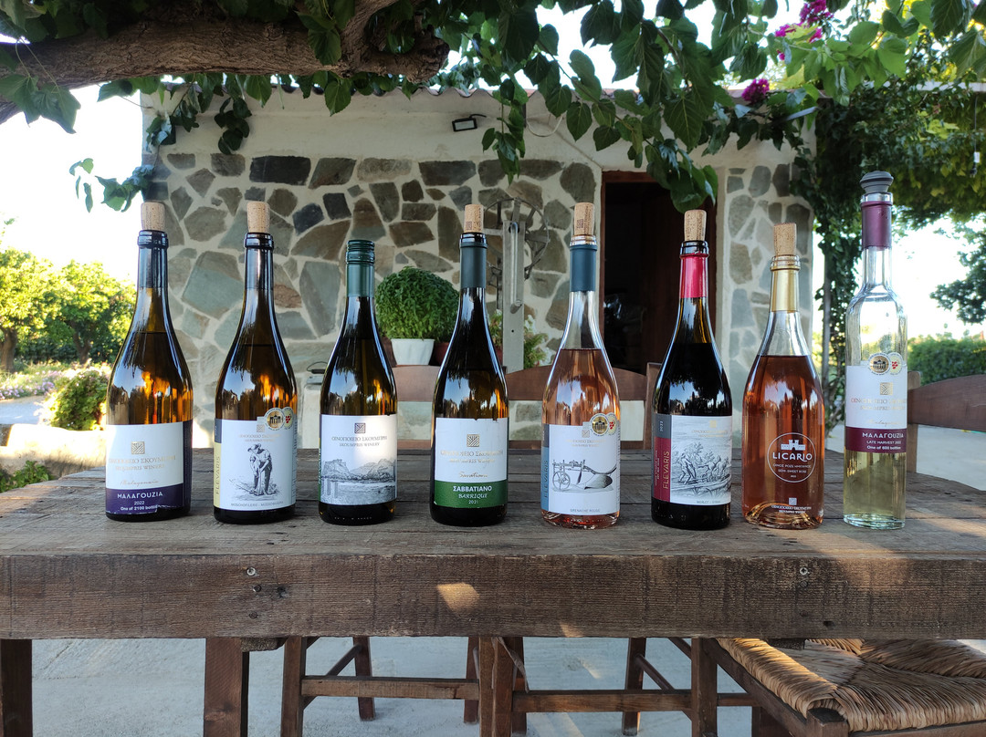 Skoumpris Winery, Evia Island-Khalkis必去景点