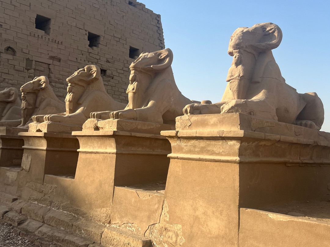 Mahmoud Tours Egypt-卢克索必去景点