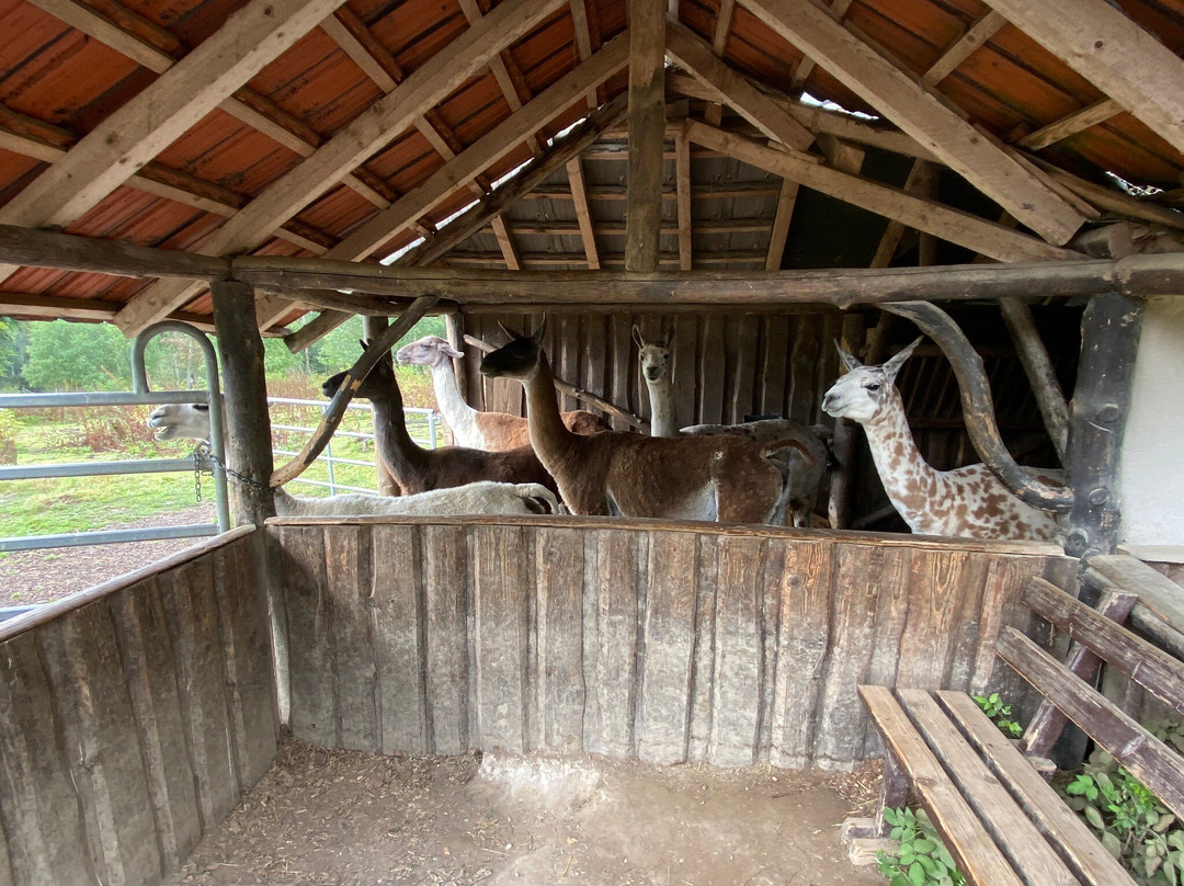 Tierpark Rheinböllen-Rheinbollen必去景点