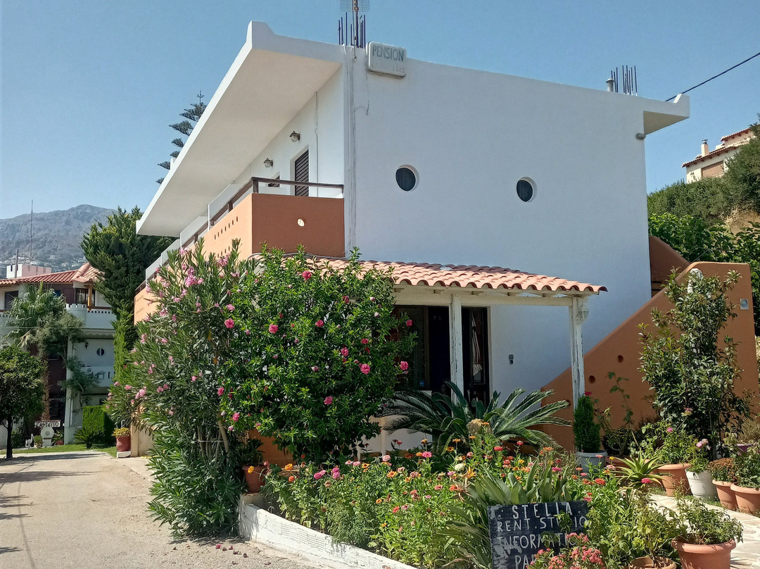 Stella Studios主图