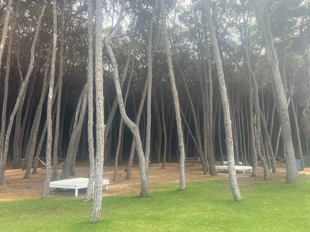 Bau Bau Beach Village景点图片