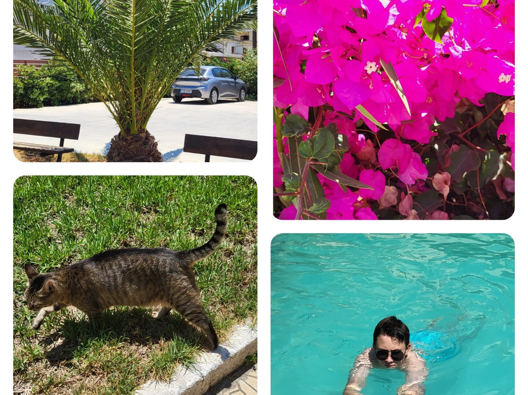 Marva Apartments-Studios主图