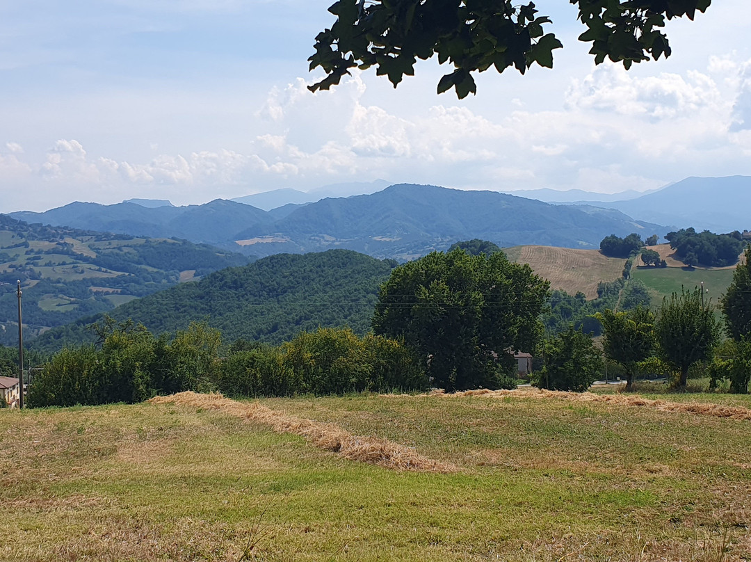 Agriturismo Il Filare主图