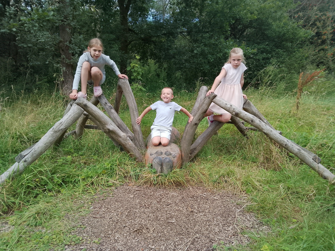 RSPB Coombes Valley Nature Reserve景点图片