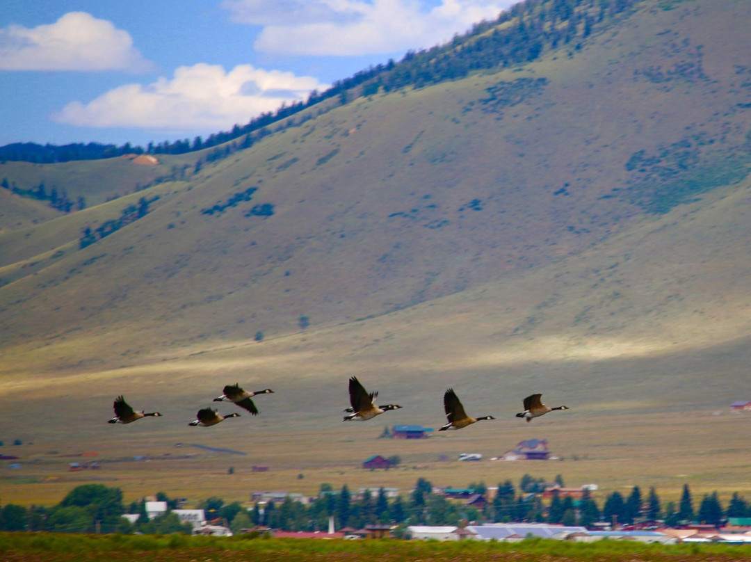 Eagle Nest Fly Shack景点图片