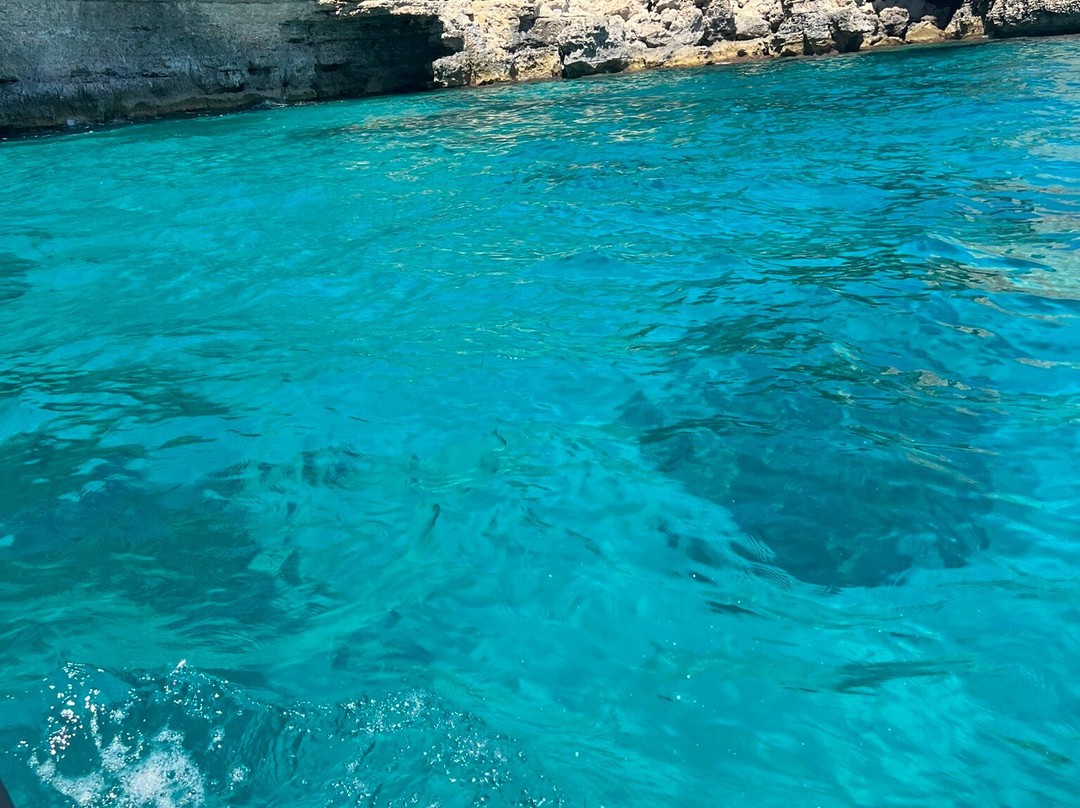 Discover The Blu-圣保罗湾城必去景点