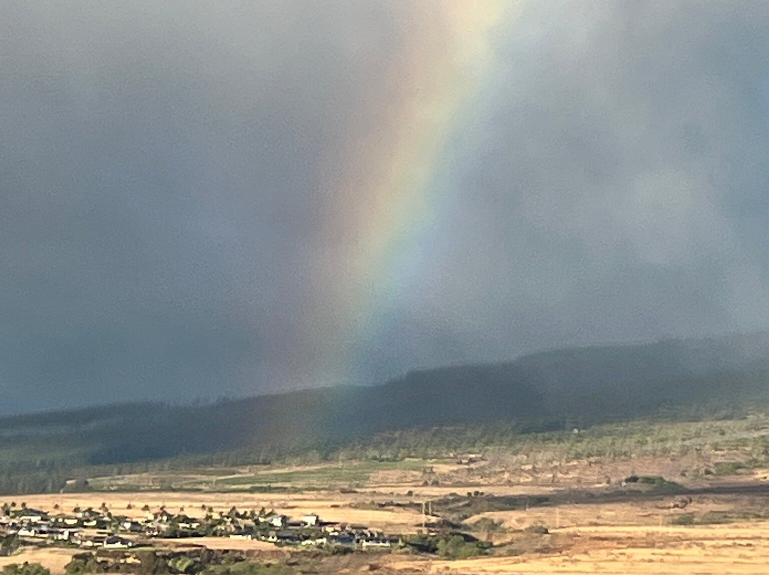 Sea Maui-拉海纳必去景点