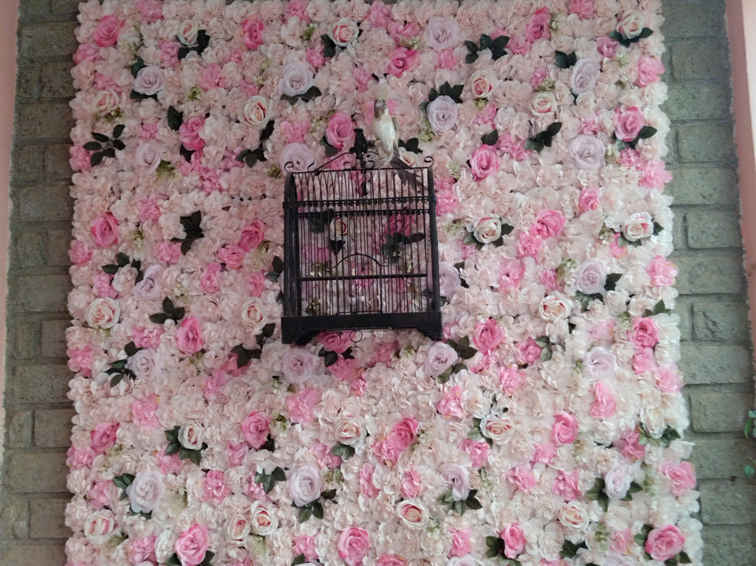 B&B La Gioia Dei Sensi主图