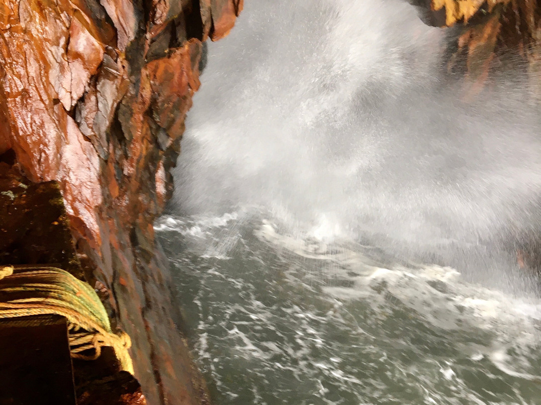 Supernova Tours Inc.-哈利法克斯必去景点