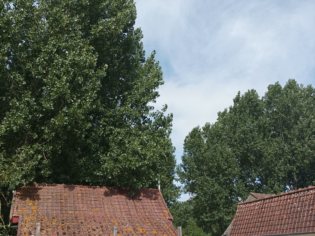 Arbre & Aventure - Côte Picarde-Quend-Plage必去景点