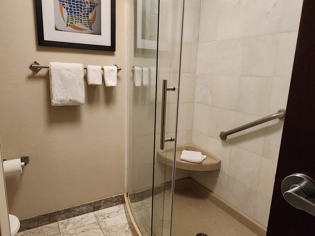 Drury Inn & Suites Kansas City Independence主图