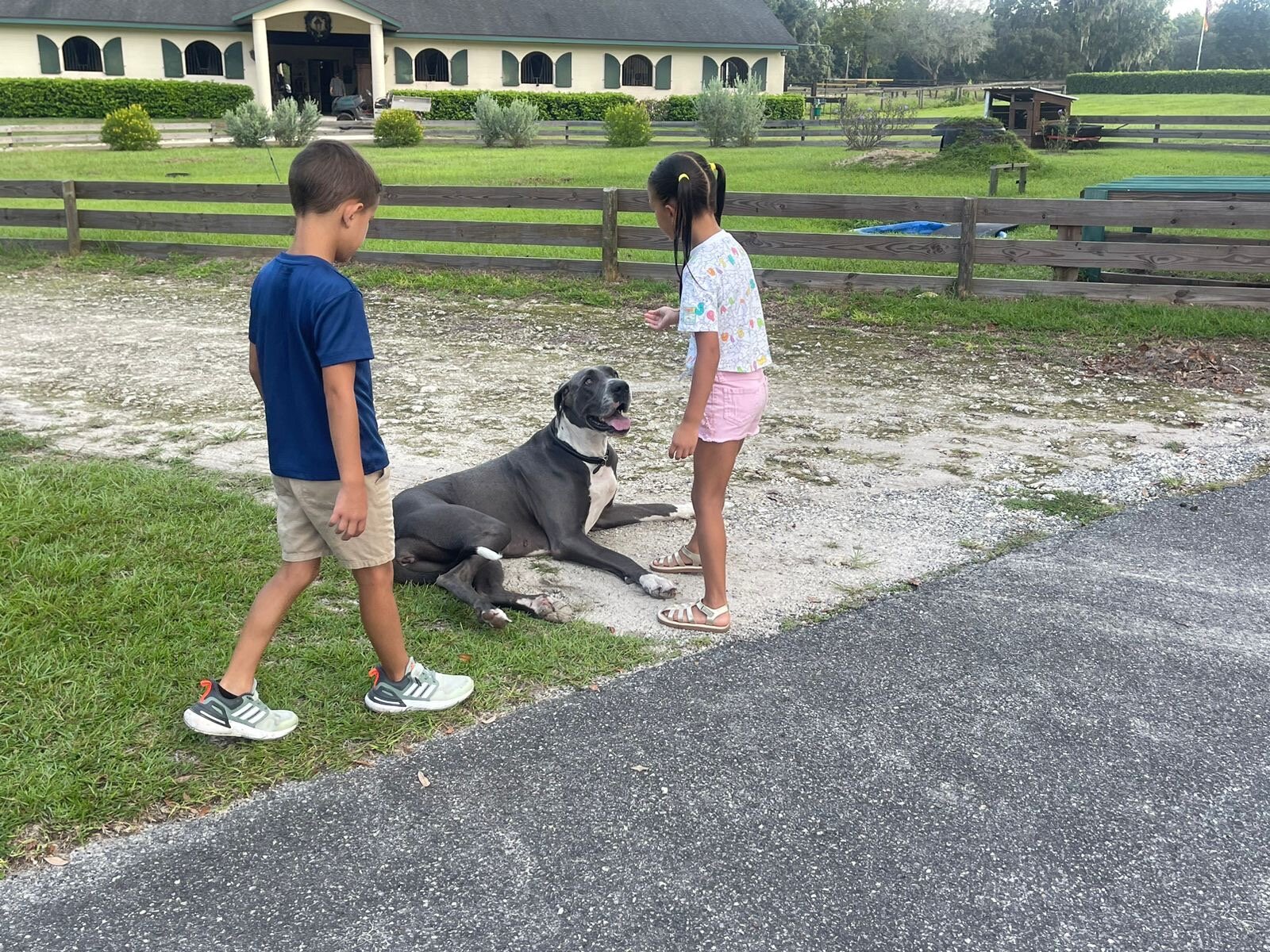 Hope Hall Farm-官方