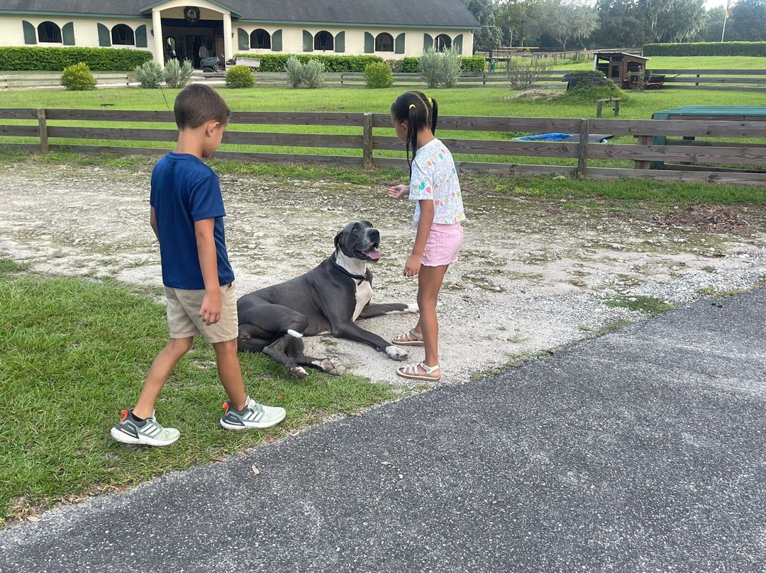 Hope Hall Farm主图