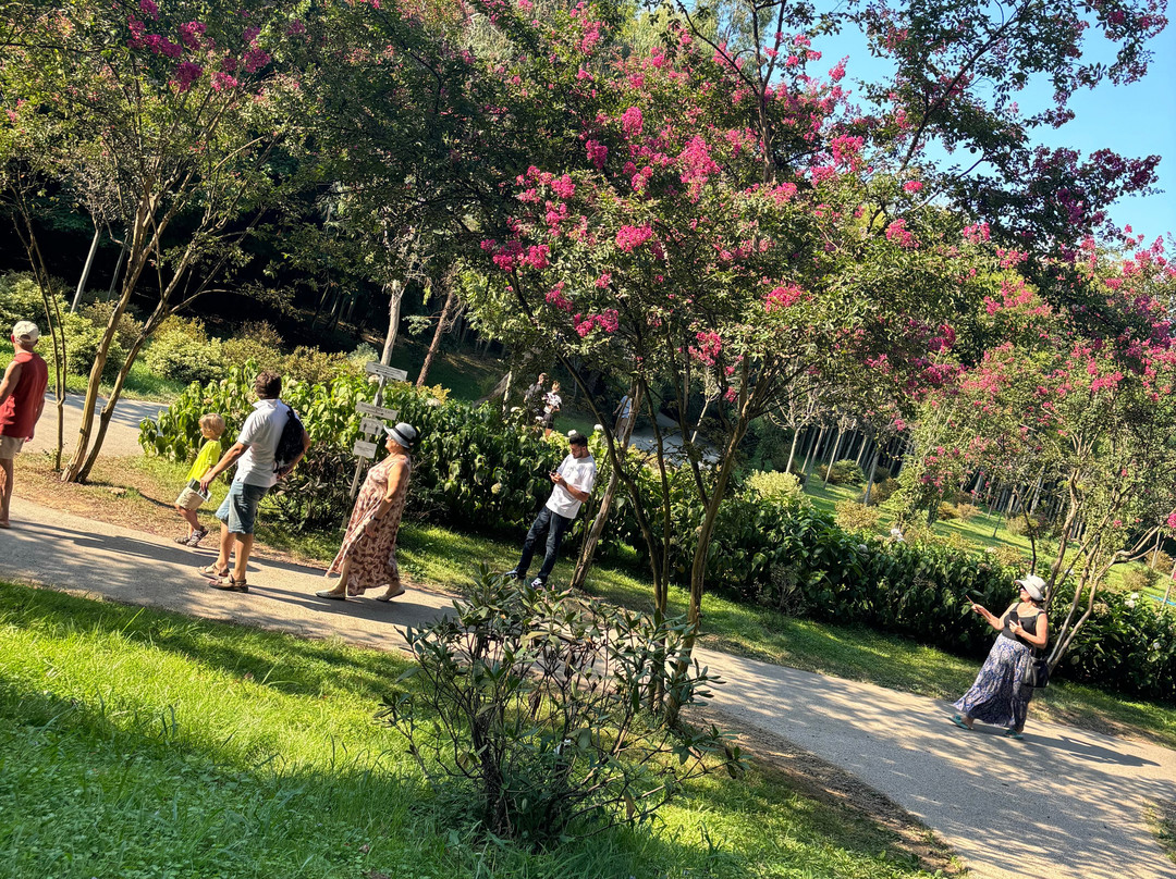 Shekvetili Dendrological Park-Shekhvetili必去景点