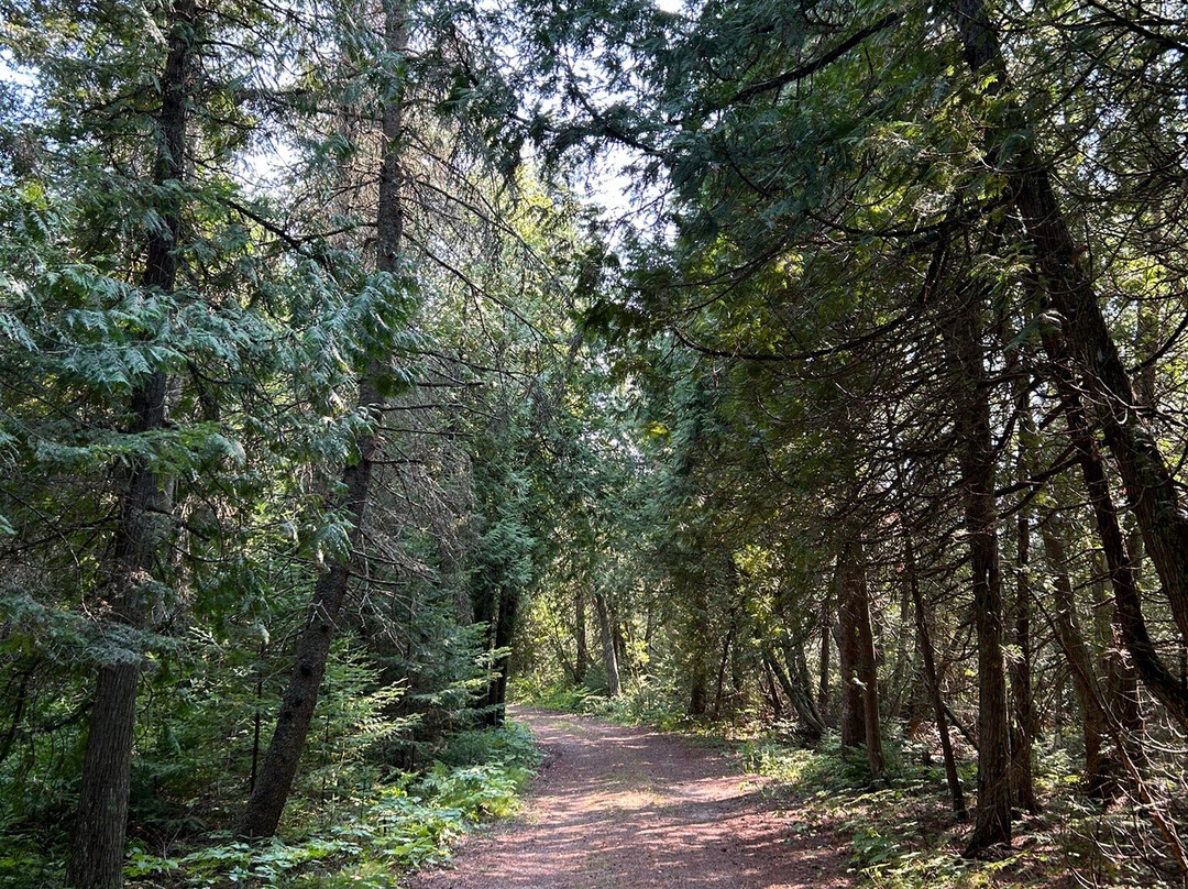 DeTour Peninsula Nature Preserve景点图片