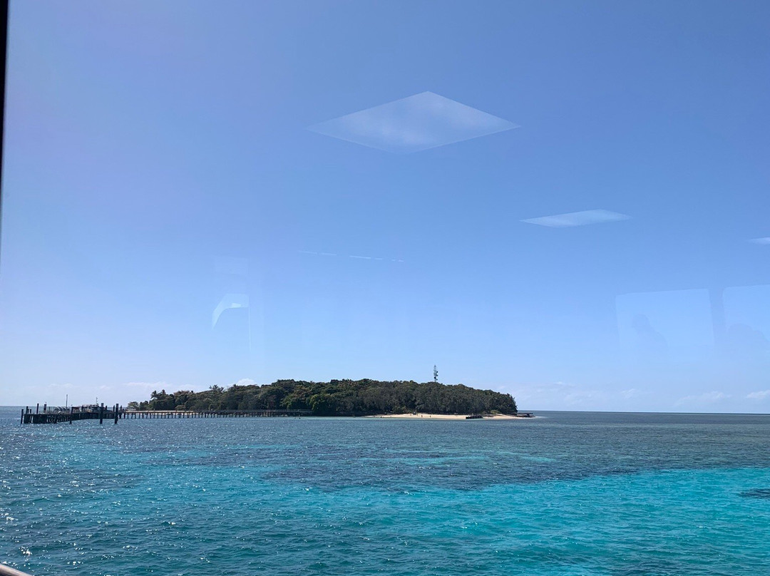 Green Island Cruise - Day Tour (Big Cat Green Island Reef Cruise)景点图片