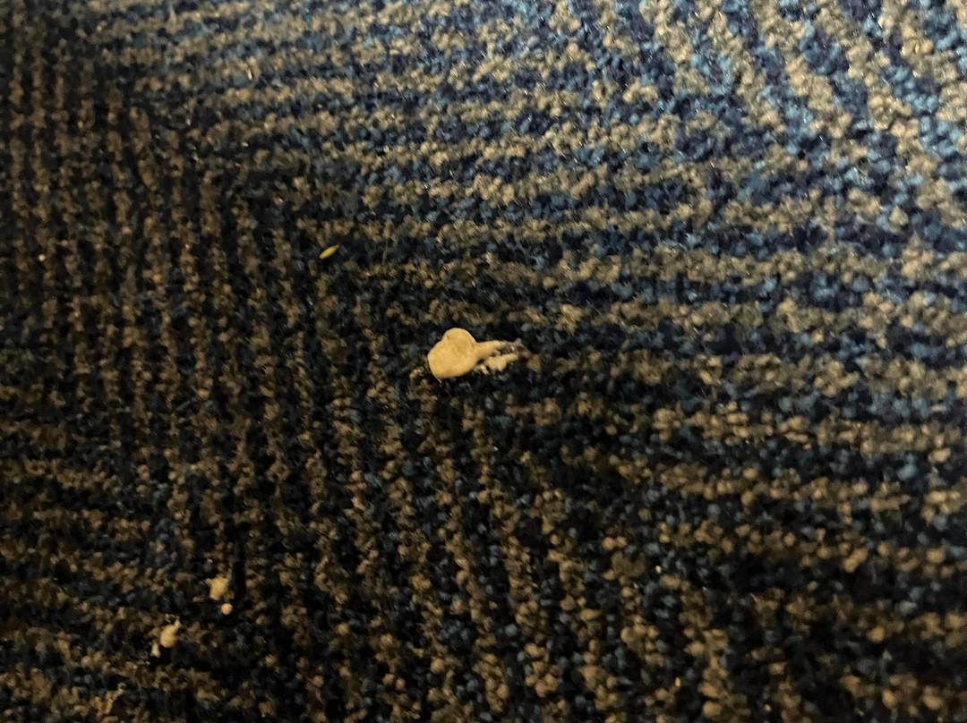 Travelodge Tamworth M42主图