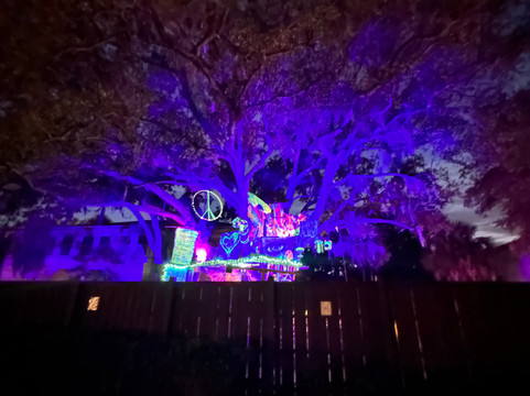 San Marco Avenue-圣奥古斯丁必去景点