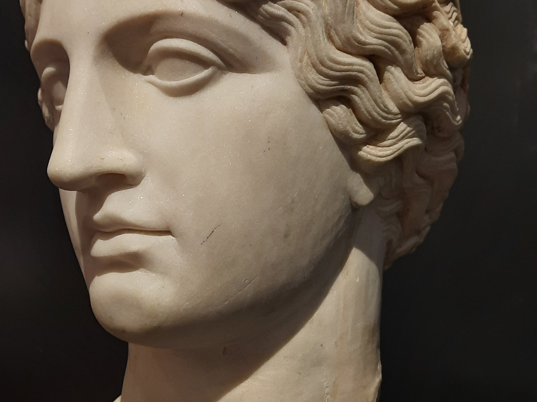 Napoli e dintorni - Archaeological tour guide-庞贝必去景点