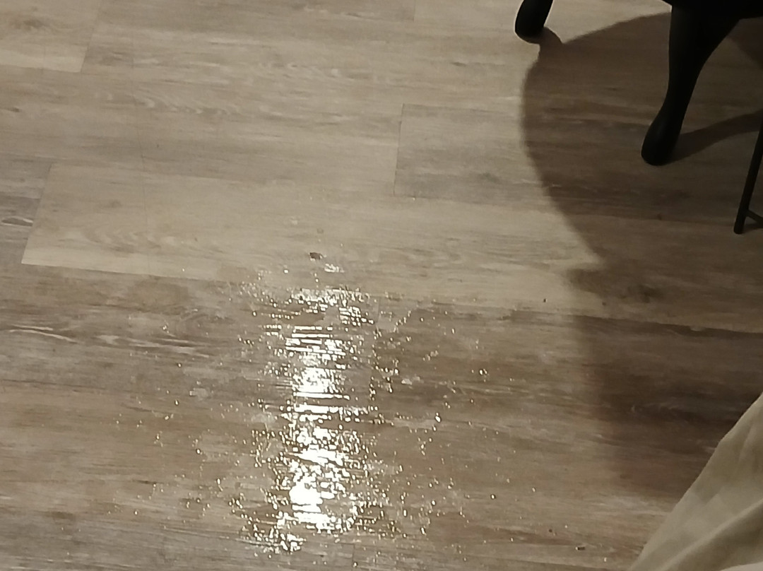 DORMERO Hotel Salzgitter主图