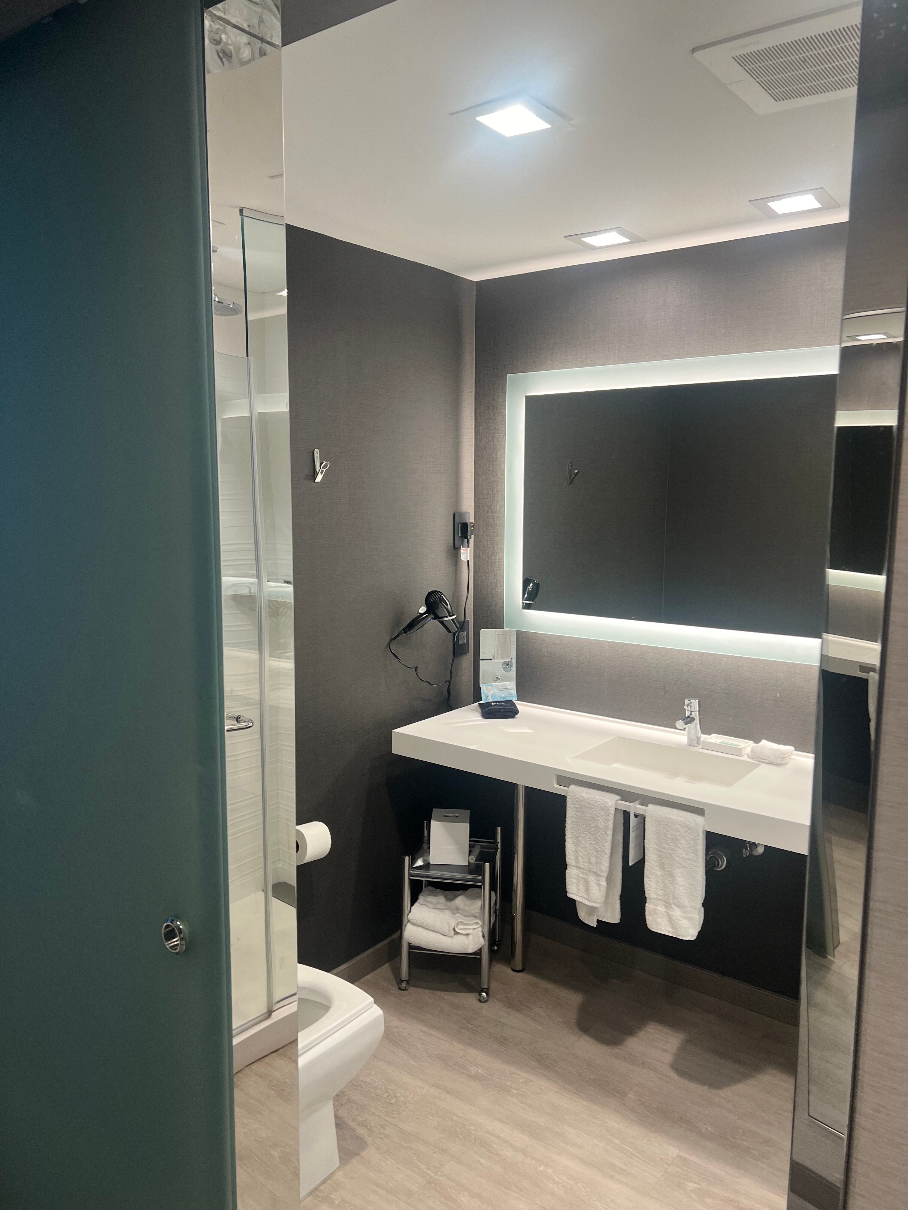 Ac Hotel Tuscaloosa Downtown-浴室