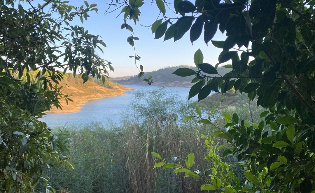 Paradise In Portugal主图