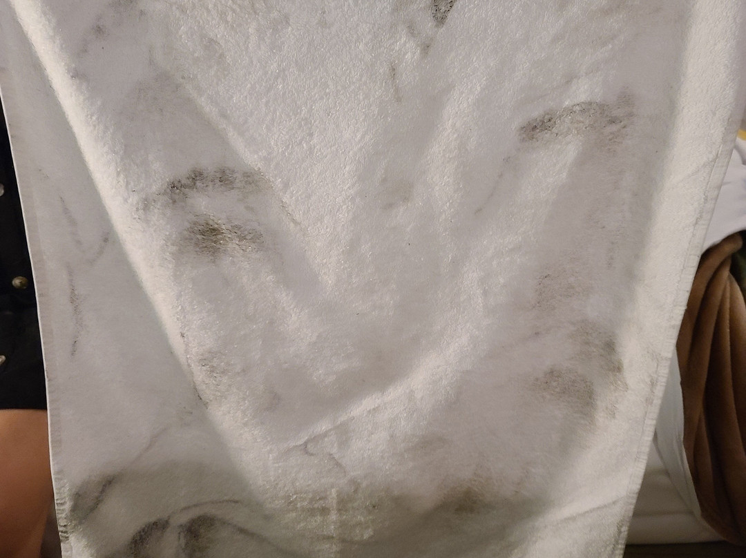 莫洛湾圣德派普尔旅馆主图