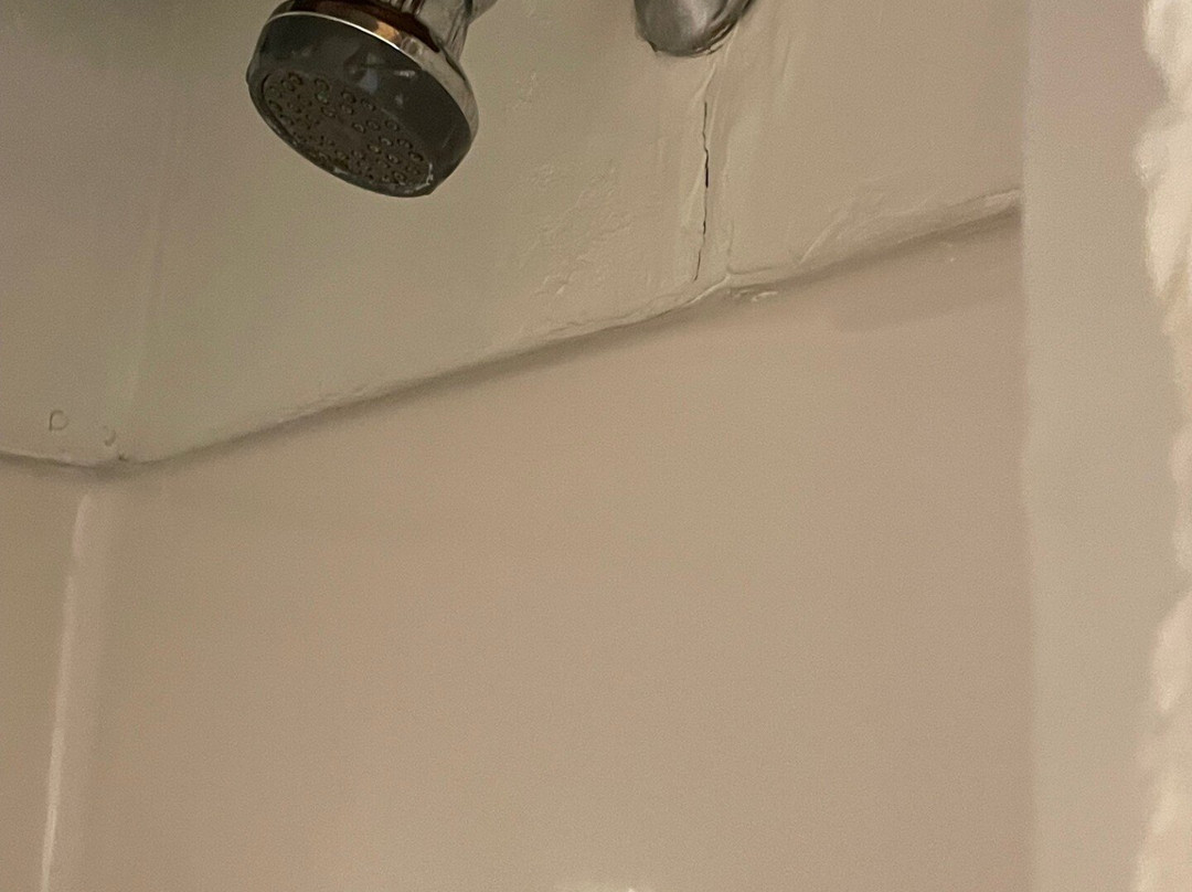 The Copper Swan主图