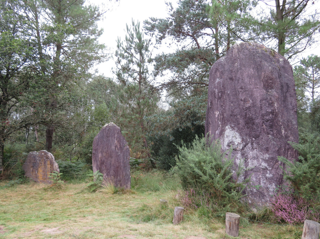Menhirs de Monteneuf景点图片