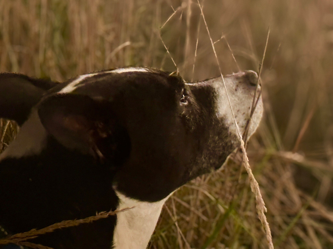 Hotel Zero Degrees Danbury主图