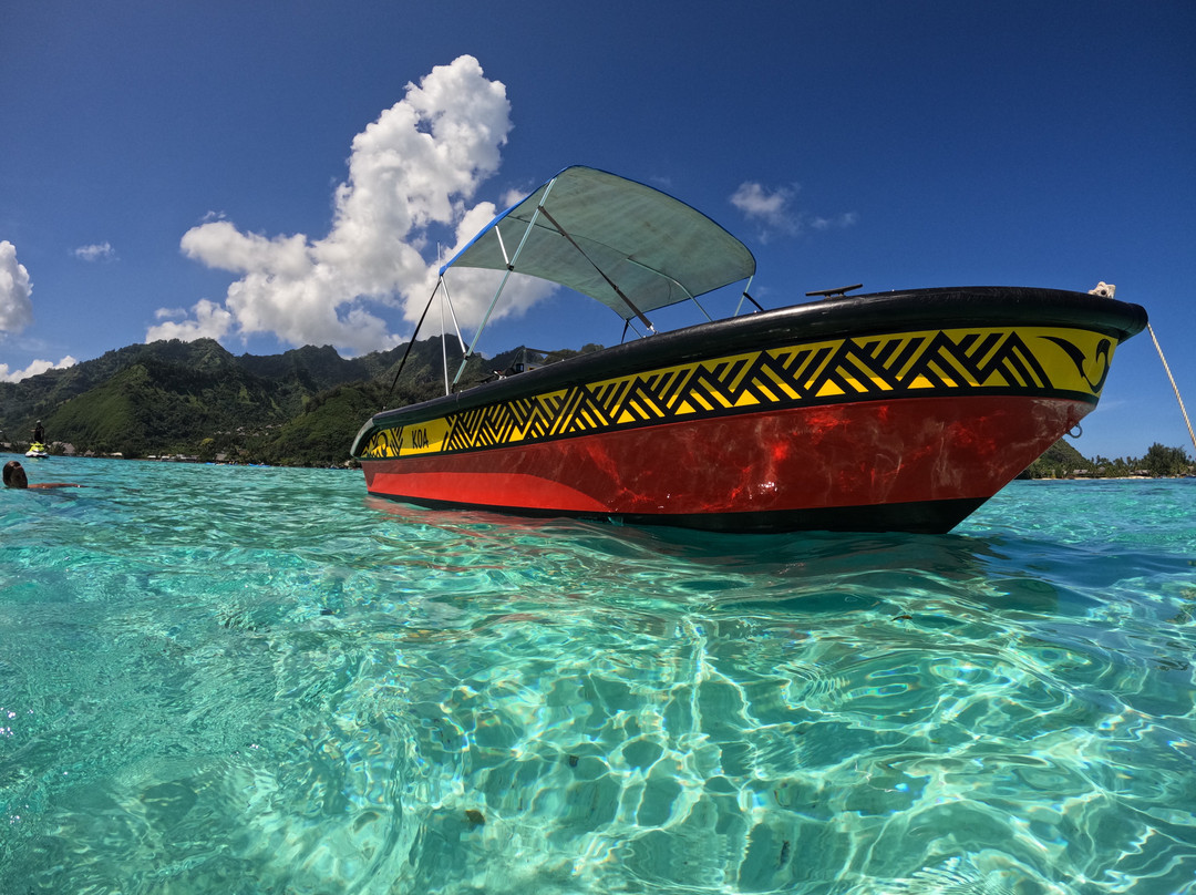 Koa Boat Tour景点图片