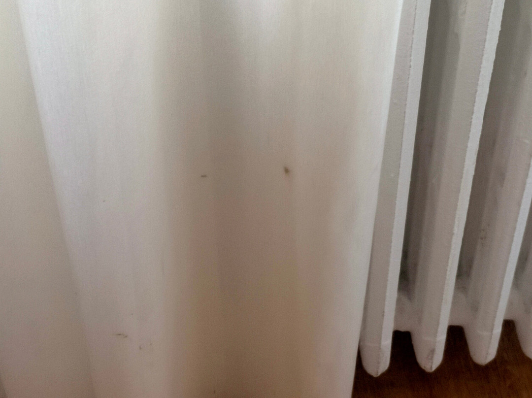 Hotel Centro Vitoria主图