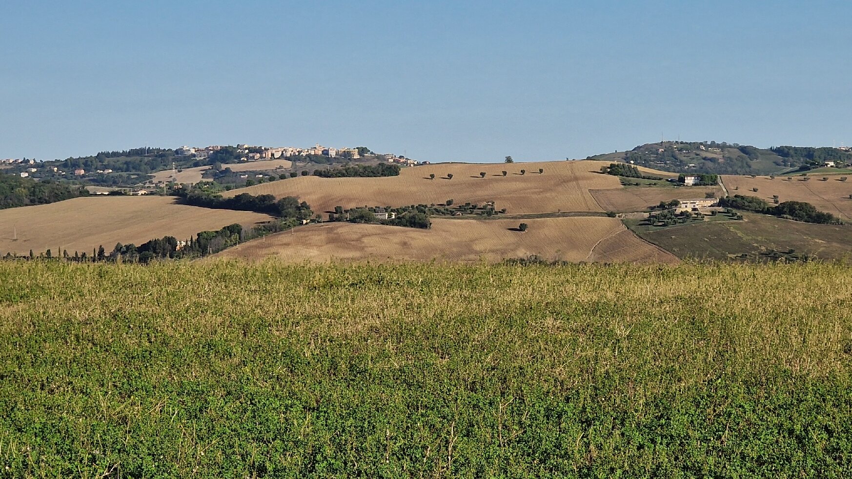Agriturismo La Quarta-官方