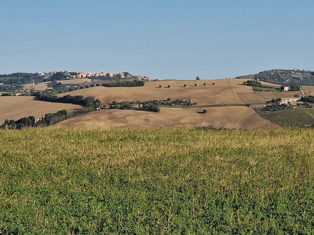 Agriturismo La Quarta主图