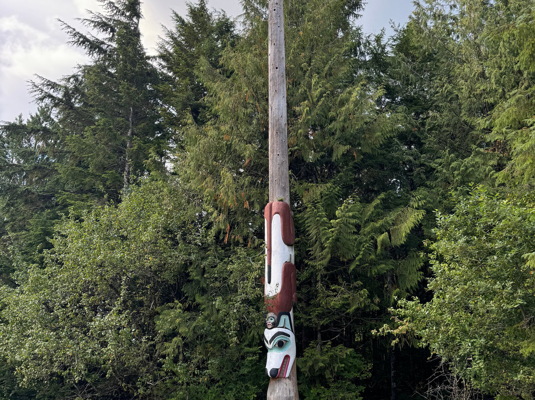 Cape Fox Tours-凯奇坎必去景点