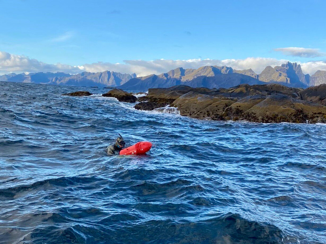 Arctic Spearfishing & guided fishing景点图片